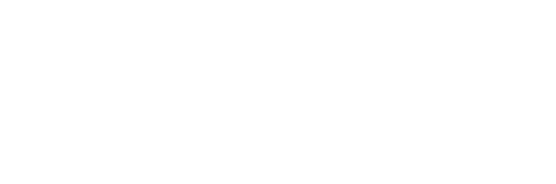 Magnify